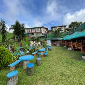 474474716_3869709806579487_1685444514461737477_n